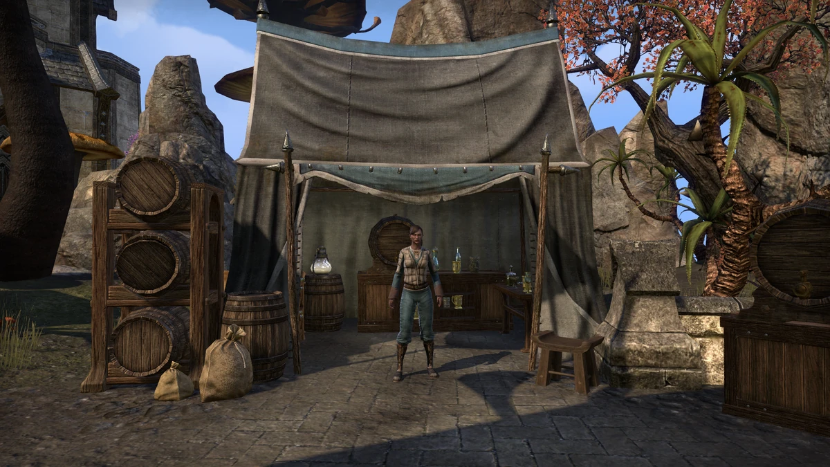 The Script and Stein | Elder Scrolls | Fandom