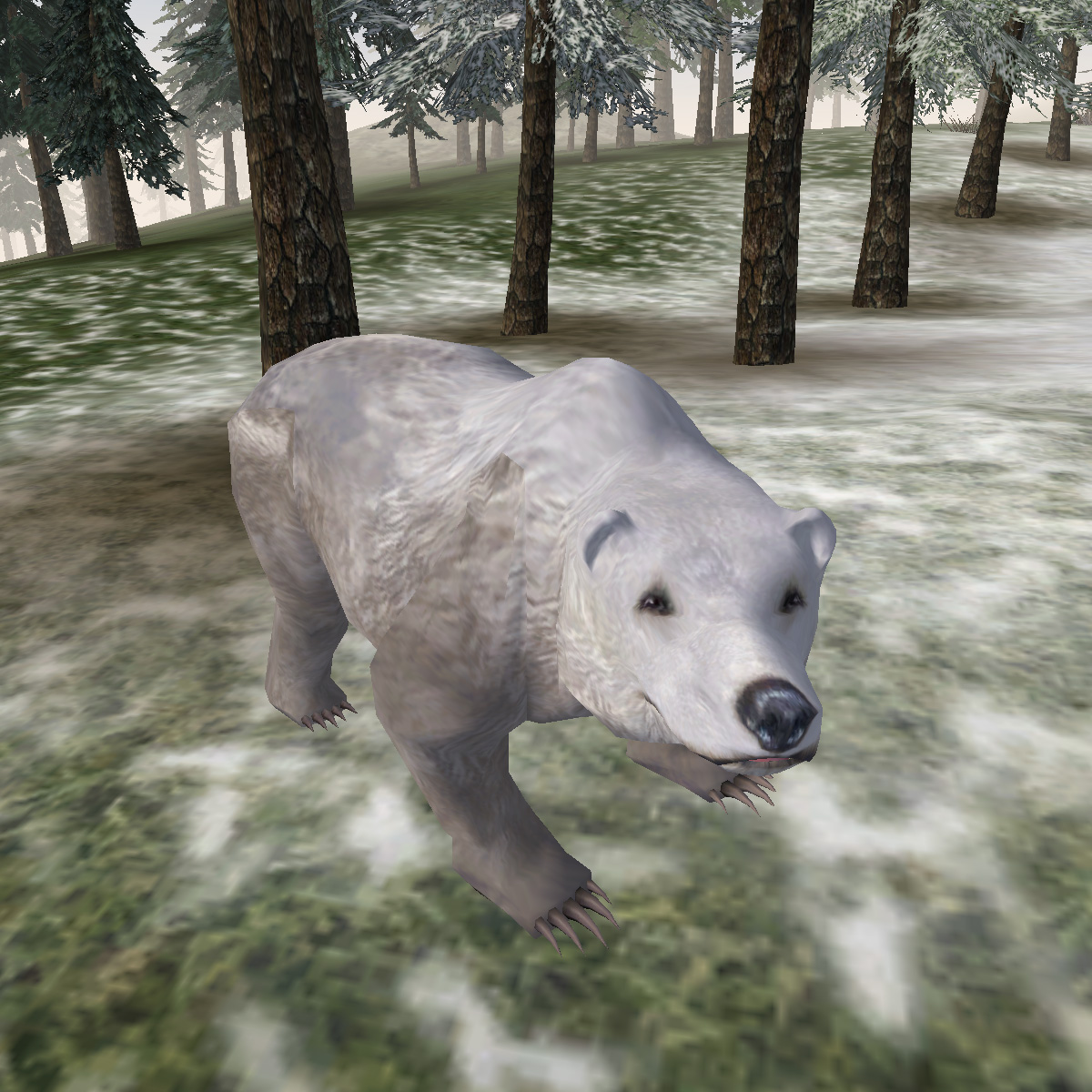 Снежный мишка игра. Шон Тэйлор "снежный медведь". Игра про белого медведя снежок. БМ медведь.