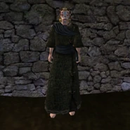Простая Мантия 18 (Morrowind) (муж).png (1,03 МБ) common_robe_05_c