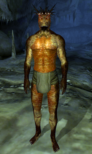 Argonian Tribesman