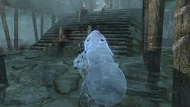 Companion Ghost