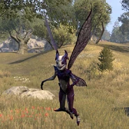Orchid Nixad z gry The Elder Scrolls Online