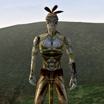 Kasa Elder Scrolls Fandom