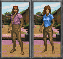 Daggerfall - High Elves