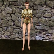 common_shirt_01