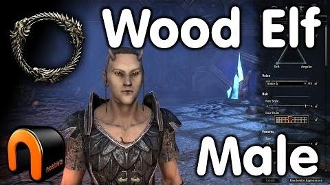 Elder Scrolls Online -- Wood Elf Male - Character Creation