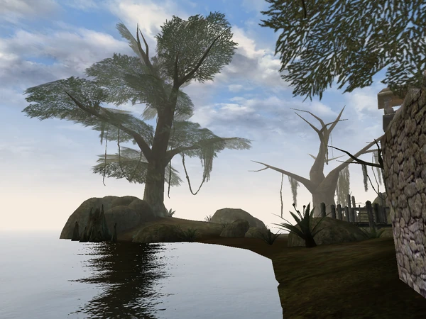 Дерево на отшибе