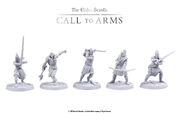 Call to Arms unpainted Stormcloaks