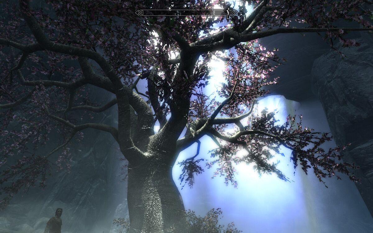 Wise Mystical Tree Skyrim Song by DarkVanossGamerPC