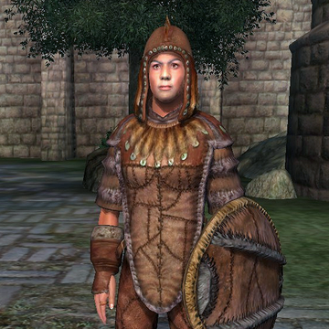 Fur Armor Oblivion Elder Scrolls Fandom Oblivion is a large googolism coined by jonathan bowers. fur armor oblivion elder scrolls