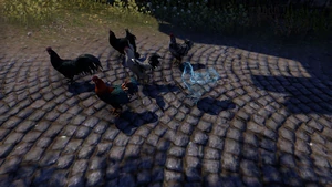 Все курицы-небоевые питомцы