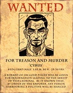 Wanted Poster.