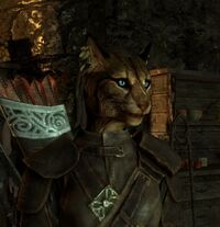 Skyrim kajit