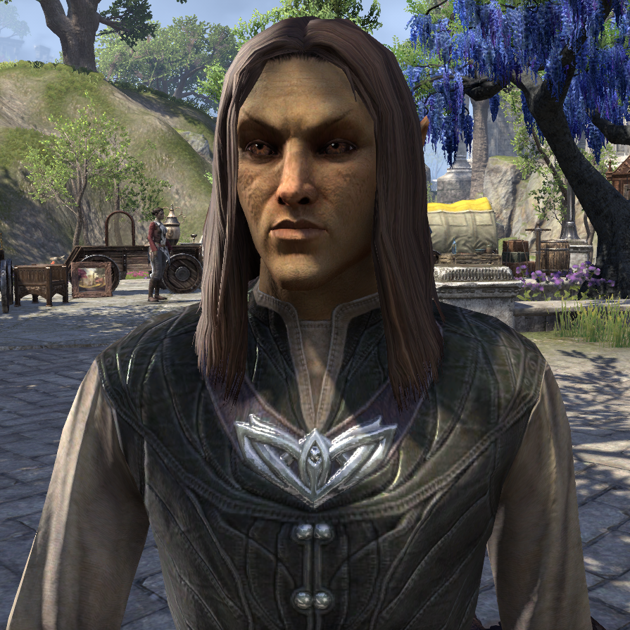 тесо игра. дураки скайрим. Elder wiki. The elder scrolls. Tes online blackwood.