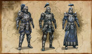 The new Daggerfall Covenant armor added by the DLC.