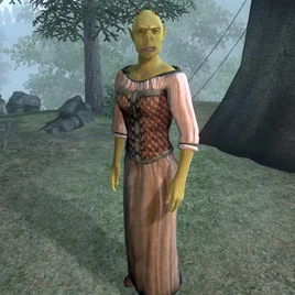 BatulGra-SharobOblivion