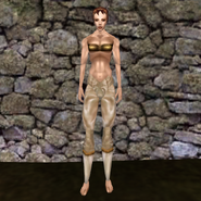 Вычурные штаны (Morrowind) 2 жен