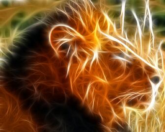 Lion.jpg