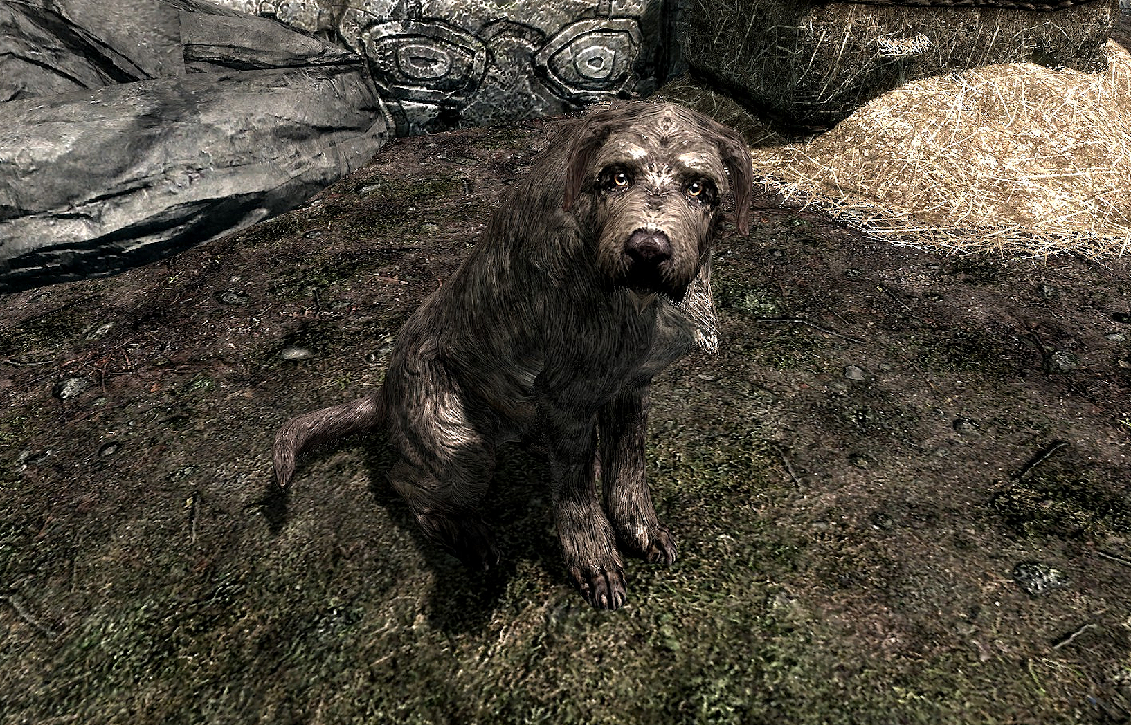 Are dogs invincible Skyrim?