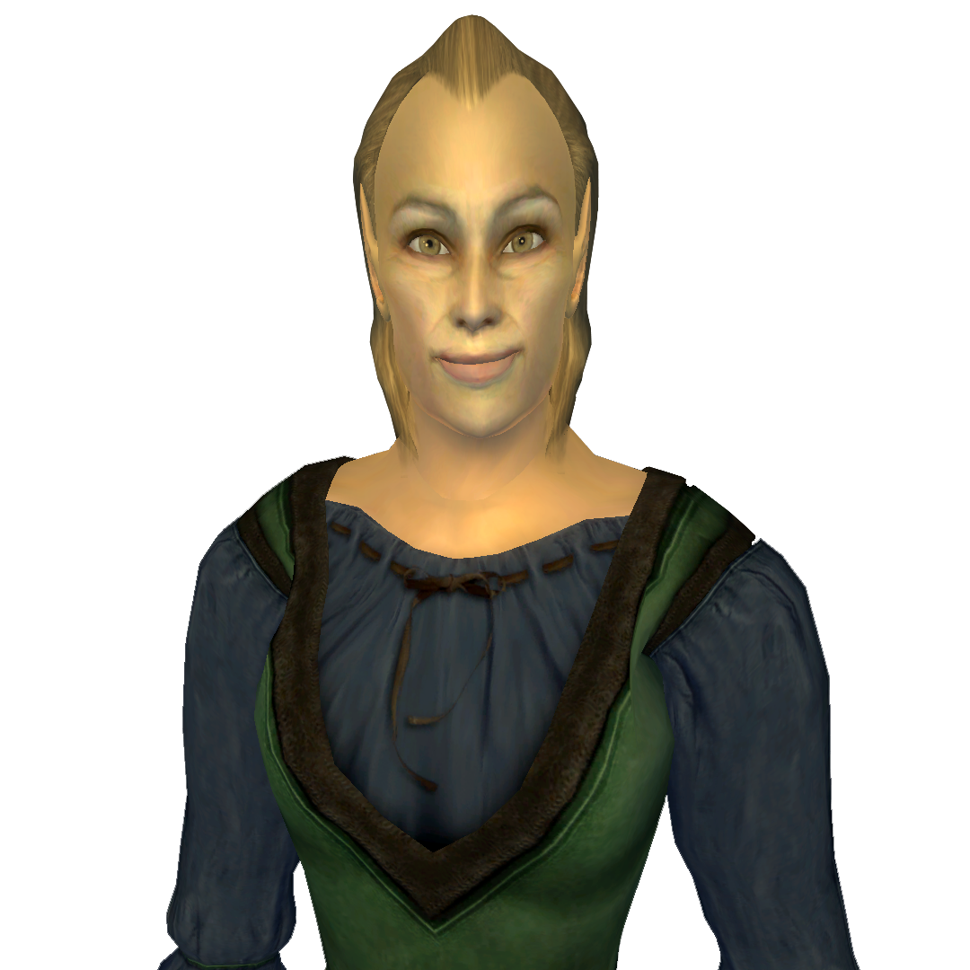 Tandilwe) - персонаж в игре The Elder Scrolls IV: Oblivion. 