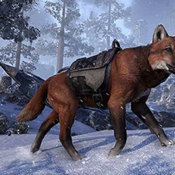 red pit wolf elder scrolls fandom