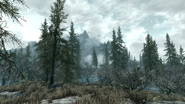 A typical Skyrim landscape