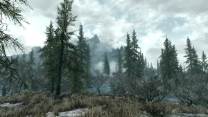 Een typisch landschap