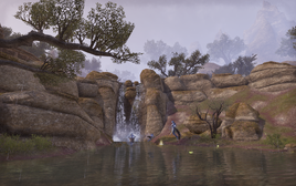 Waterdancer Falls