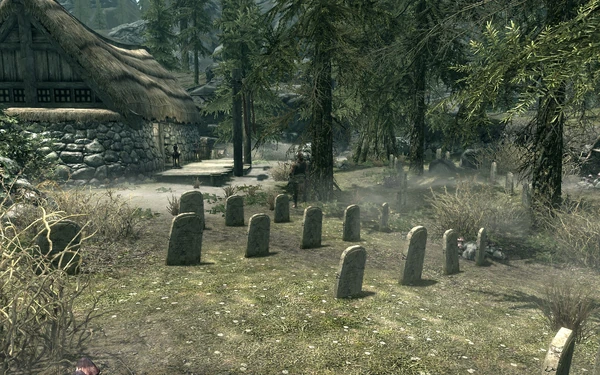 Кладбище города