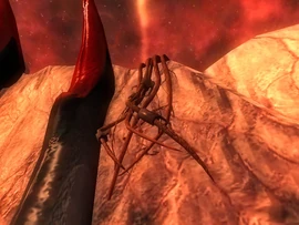 Этот сорт харрады растёт снаружи (не в пещерах). Свисает с края стены или выступа скалы. Не агрессивен.