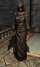 Hooded Grey Robes 10cfea