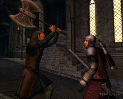 Skingrad city4