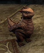 A pet bantam guar as seen in-game.