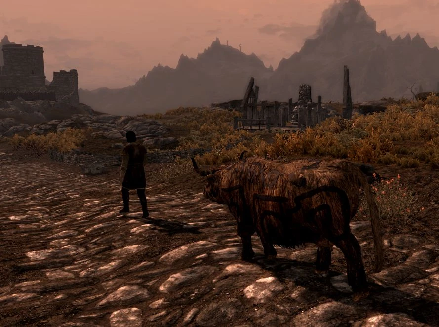 Skyrim Random Encounters Map Random Encounters (Skyrim) | Elder Scrolls | Fandom