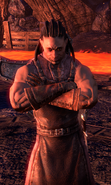 Merric à la Forgeterre