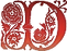 Fancy D.png