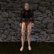 common_shirt_03_c