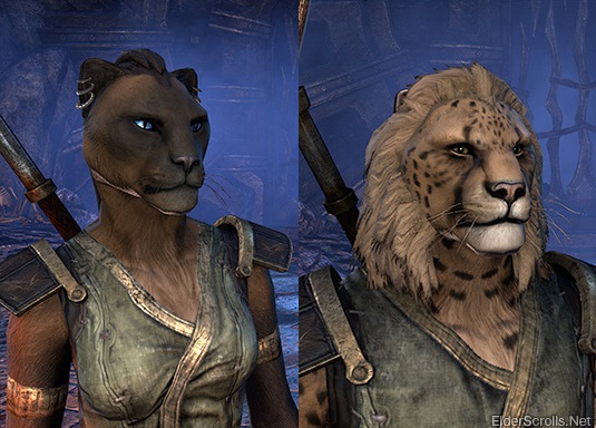 elder scrolls online character creation khajiit