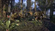 Murkmire In-game 4.png (4.35 MB) Murkmire berserkers, surrounded by flytraps.
