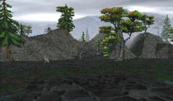 Драконий Хвост