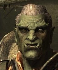 A player-generated Orc.