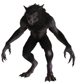 Werewolf from Skyrim