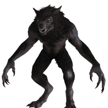 Werewolf Skyrim Elder Scrolls Fandom