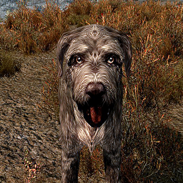 Barbas Skyrim Elder Scrolls Fandom