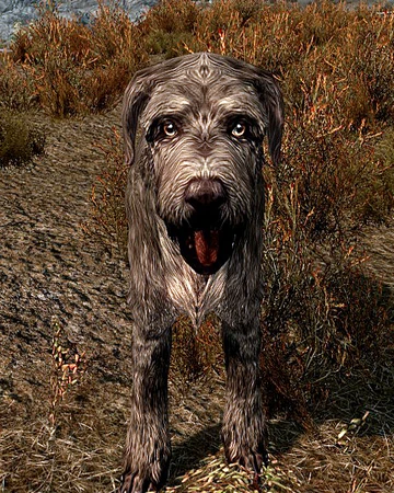 irish wolfhound skyrim