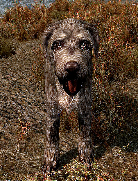 do dogs respawn in skyrim