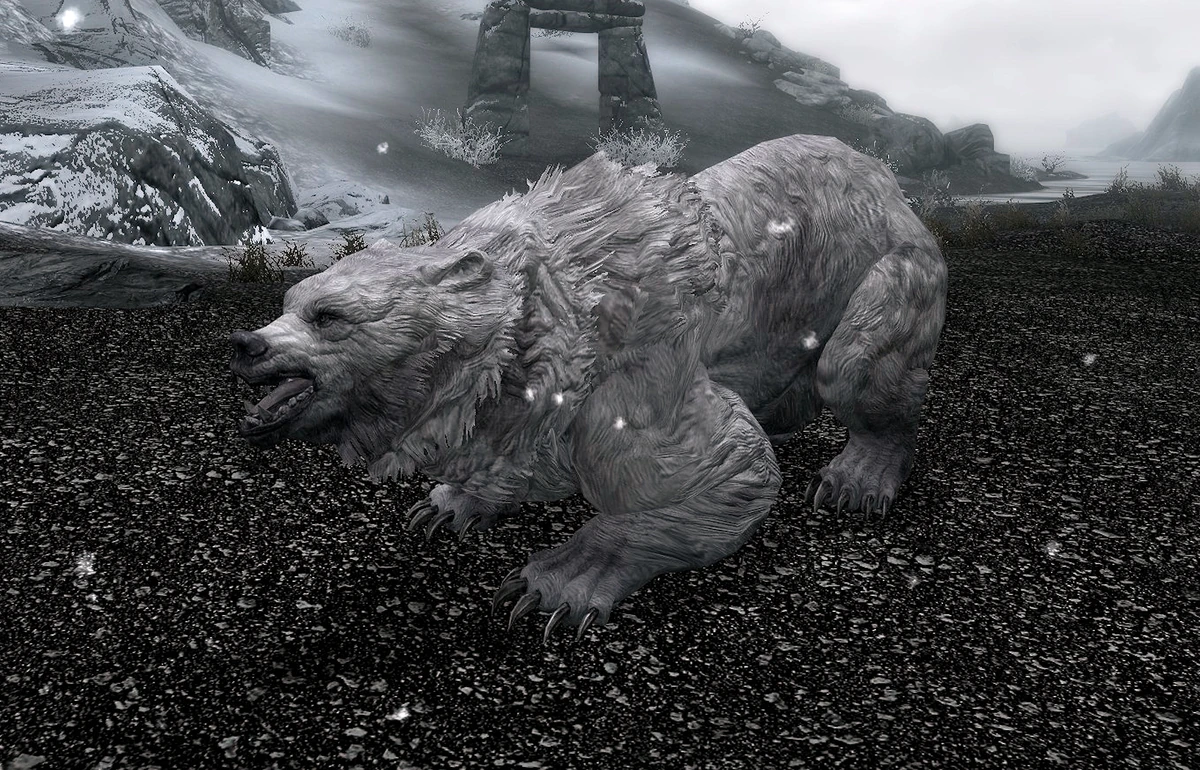 Ours des neiges (Skyrim) Wiki The Elder Scrolls Fandom