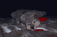 Image d'un loup mort.