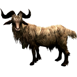 Коза Гледа Gleda the Goat 001