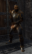 Valano during "Teldur's End"